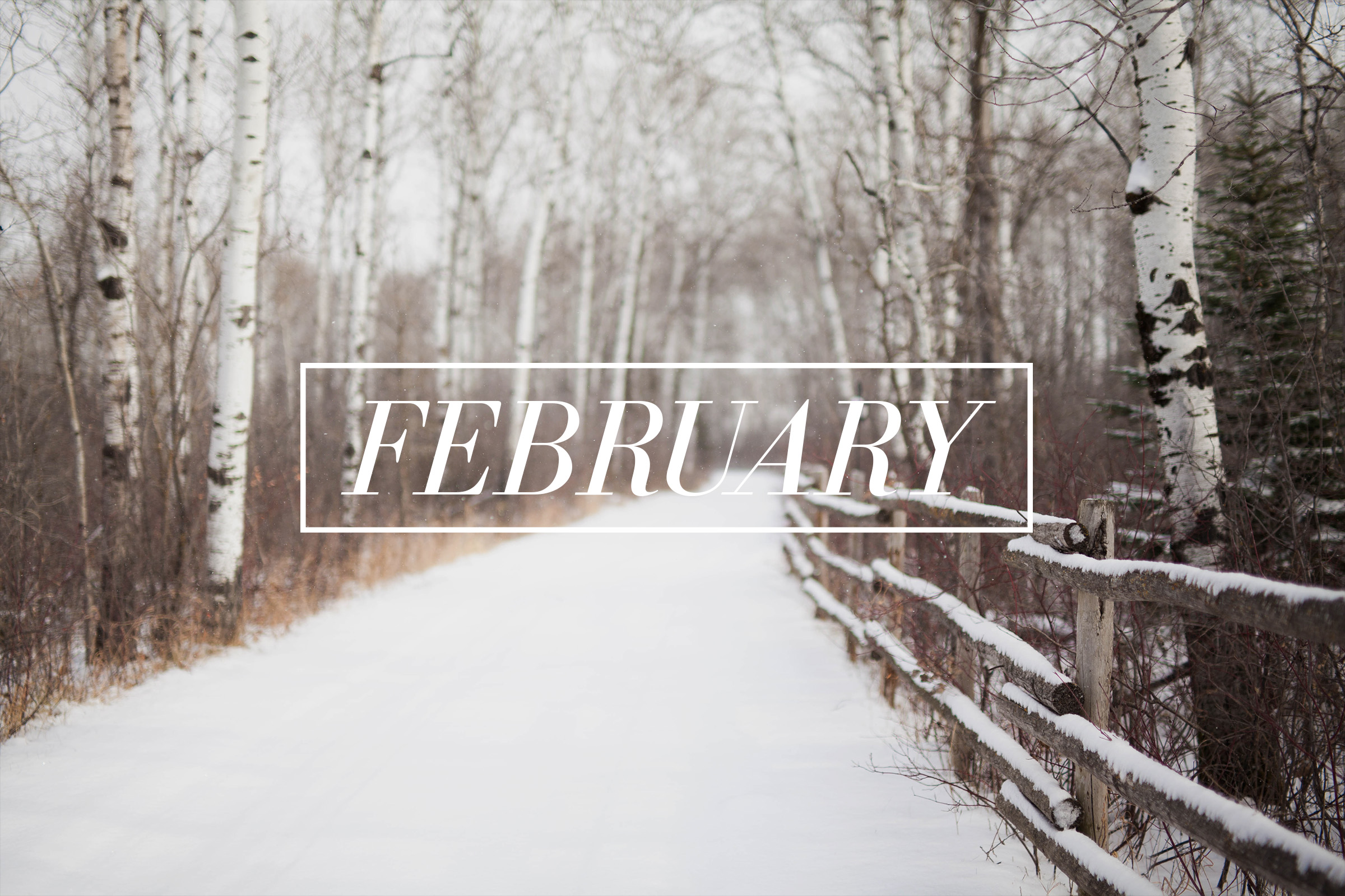 CM-quotes-February